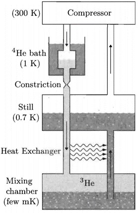 82C1